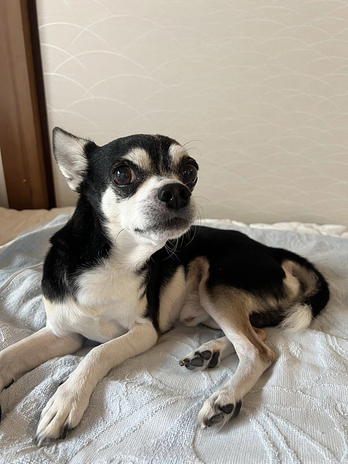 手術まであと32日‼︎