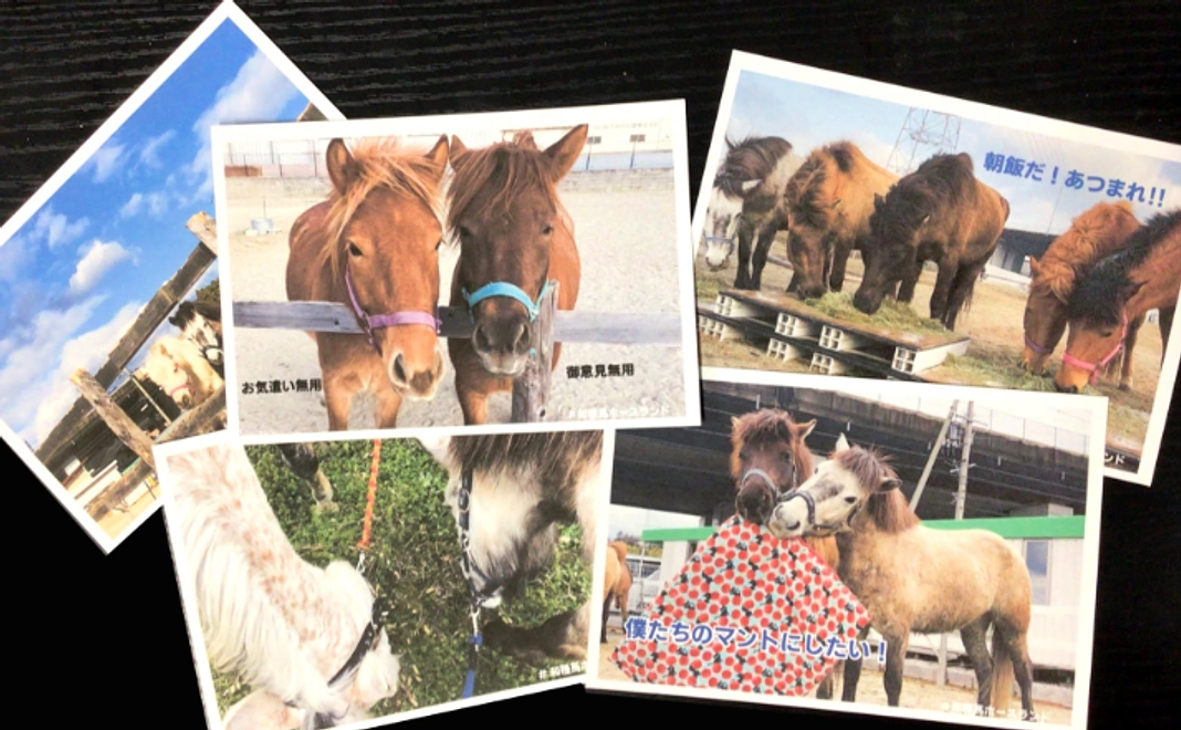 全力応援コース 1万円