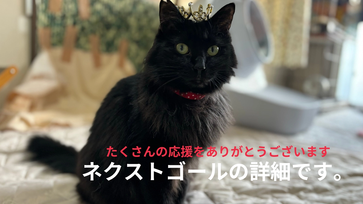 ネクストゴールの詳細です。皆様の後押しをバネにして挑戦をしたいと思います。