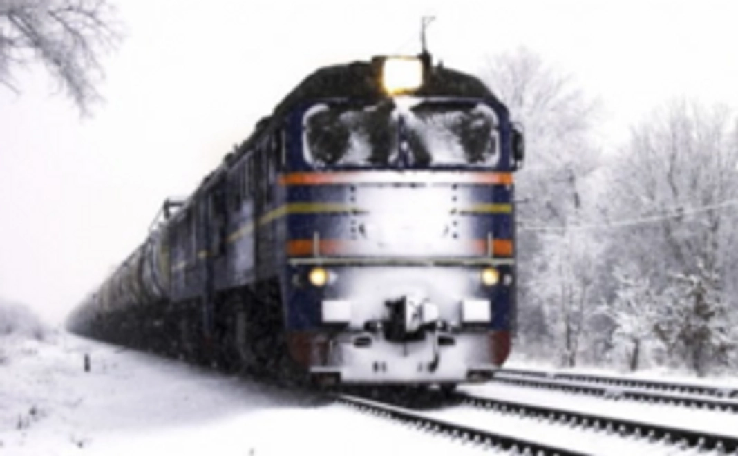 現地で調査してもらいたいこと