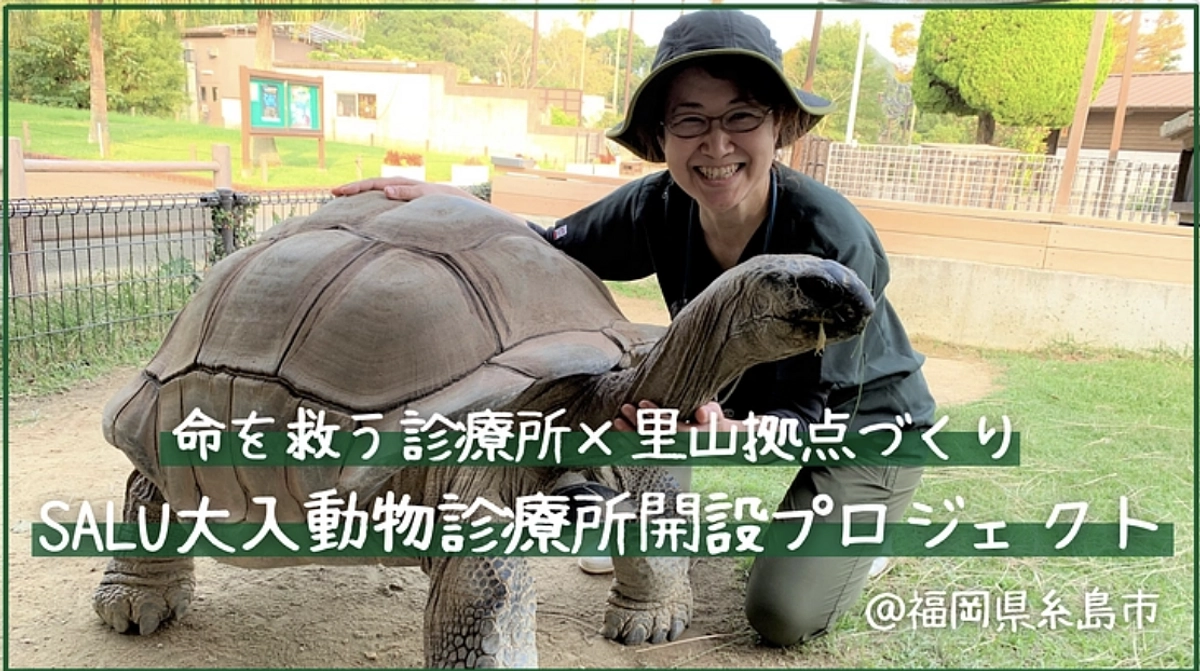 プロジェクトご支援のお願い。