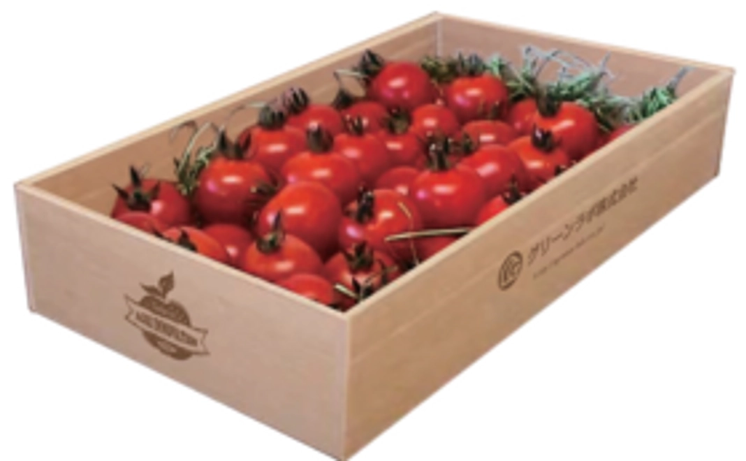 🍅 ミニトマト詰め合わせ1.0ｋｇ 🍅