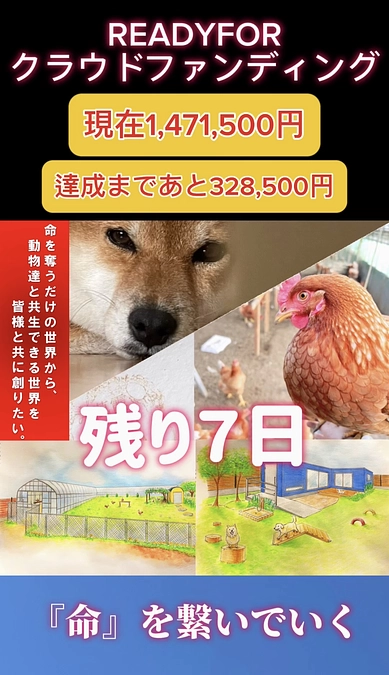 ありがとうございます。