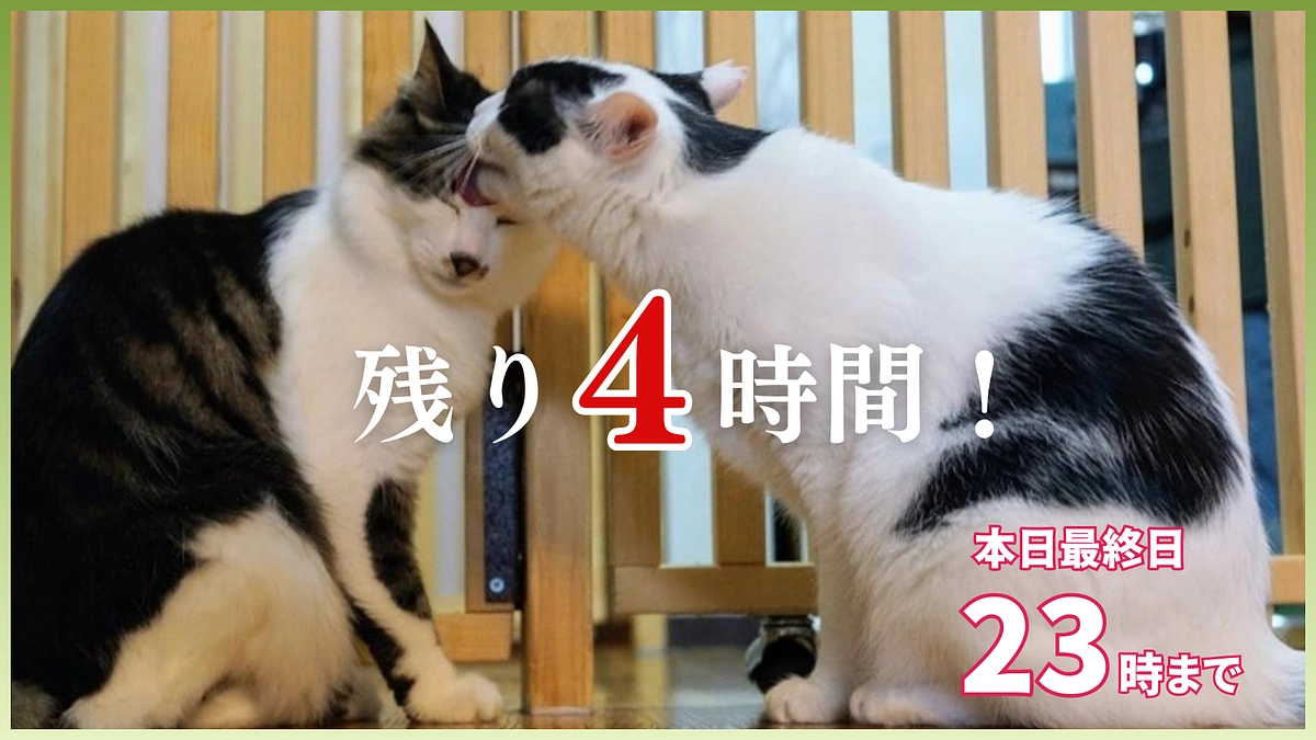 残り4時間｜皆さまの想いとともに、ラストラン