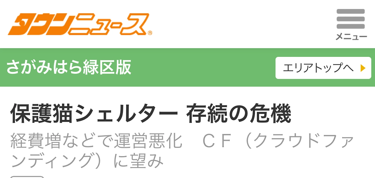 10/24 タウンニュースにたんぽぽの里・ねこてまりが紹介されました。
