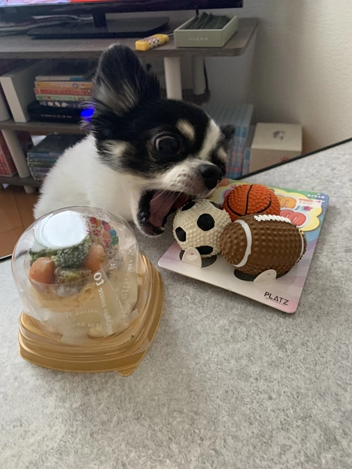 日曜日恒例の神社へ⛩️
