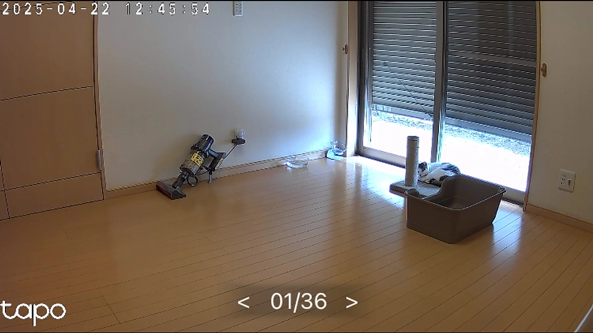 【近状について】