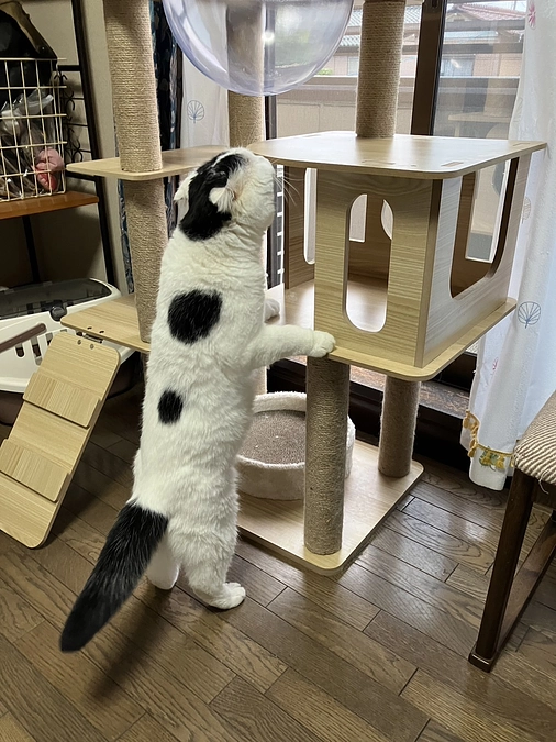 しおの経過報告