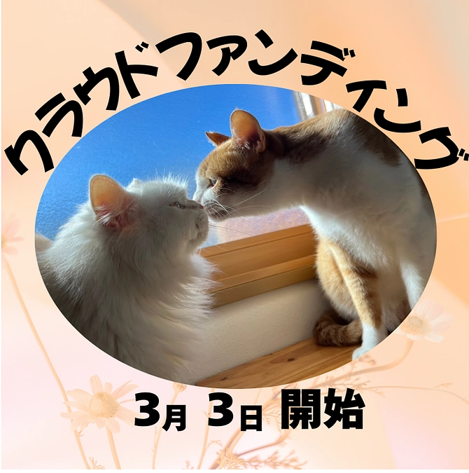 保護っ子医療の応援のため期間限定クラウドファンディングに挑戦します！