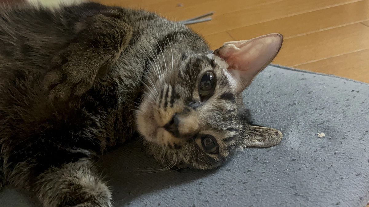 そして皆様、ありがとうございました。