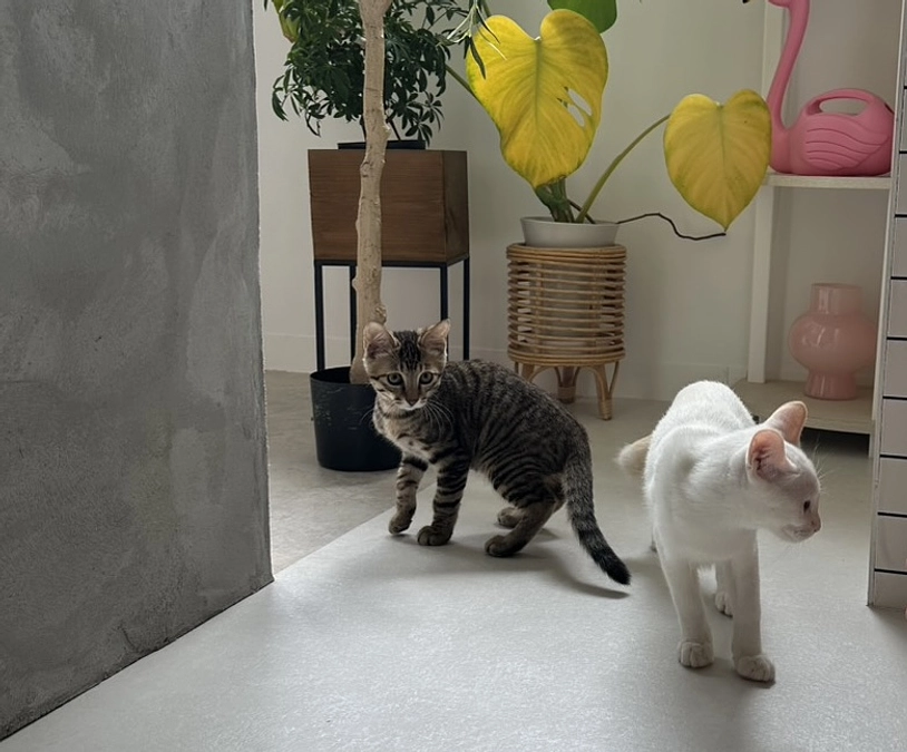 活動報告＆商品お届け〜新アイテム紹介