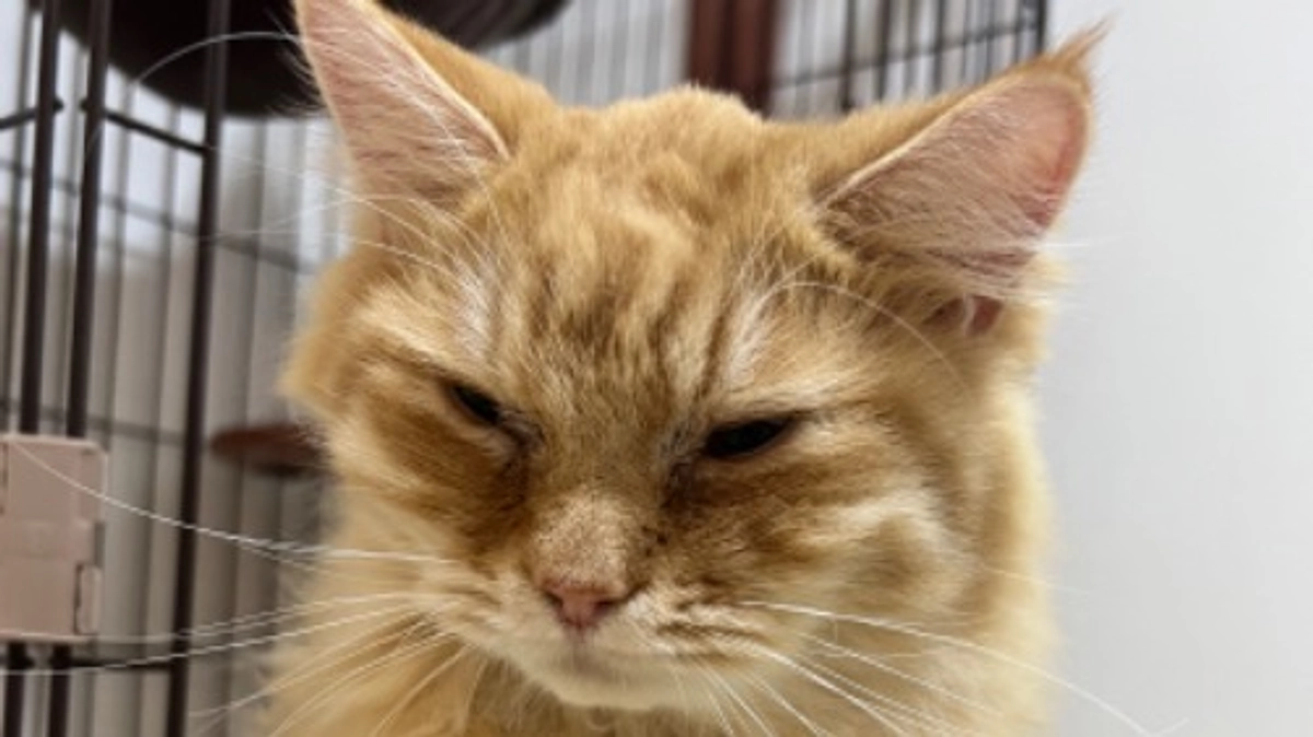 投薬、治療スタート