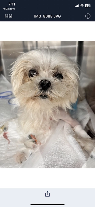 引き続き皆様のご支援とご協力をお願いします