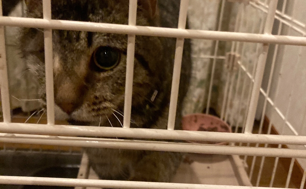 ◆感謝のメール①◆