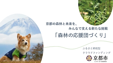 愛犬と自然を楽しもう！みやこの木で作るペット用アウトドア商品の開発 のトップ画像