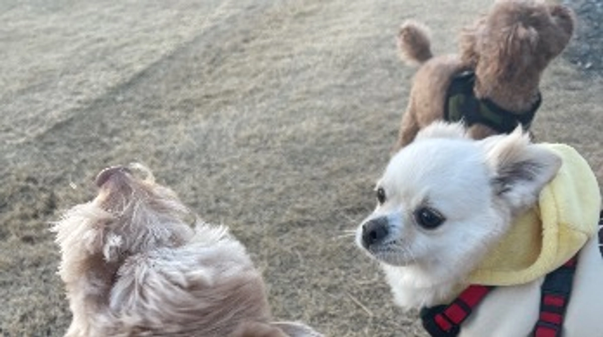 残り1時間をきりました