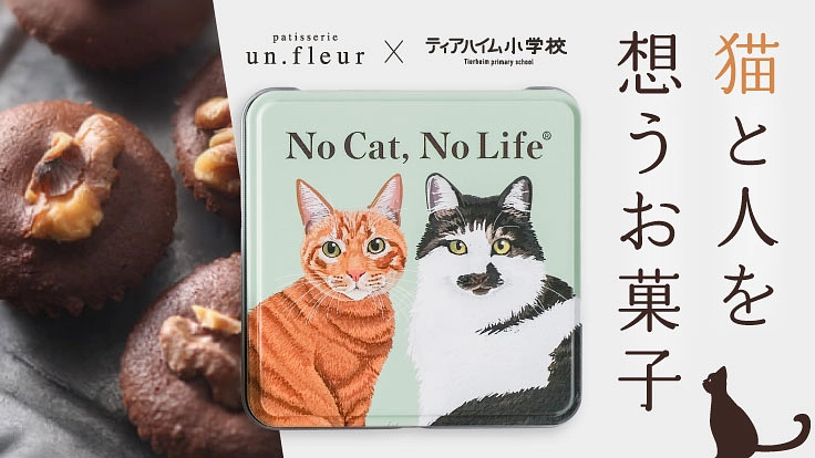 保護猫たちに未来を！大人気の絶品洋菓子をリターンにご支援ください！