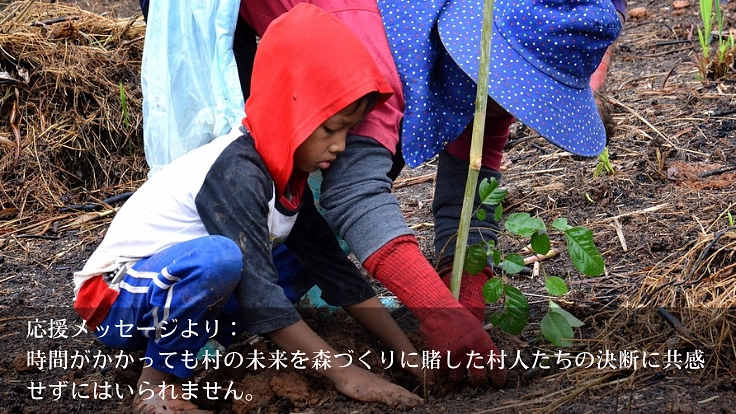 森を守ることは、生活と文化を守ること。タイの森再生プロジェクト 10枚目