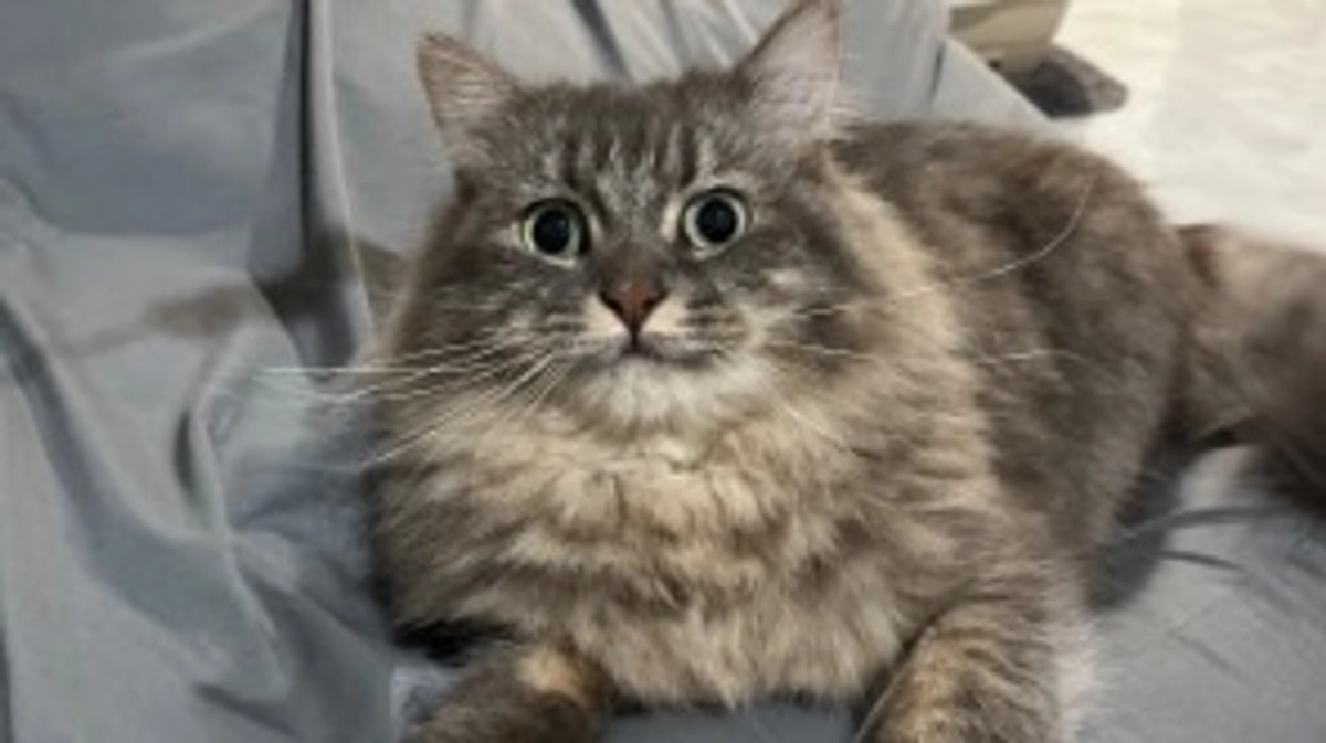 リターン送付のお知らせ