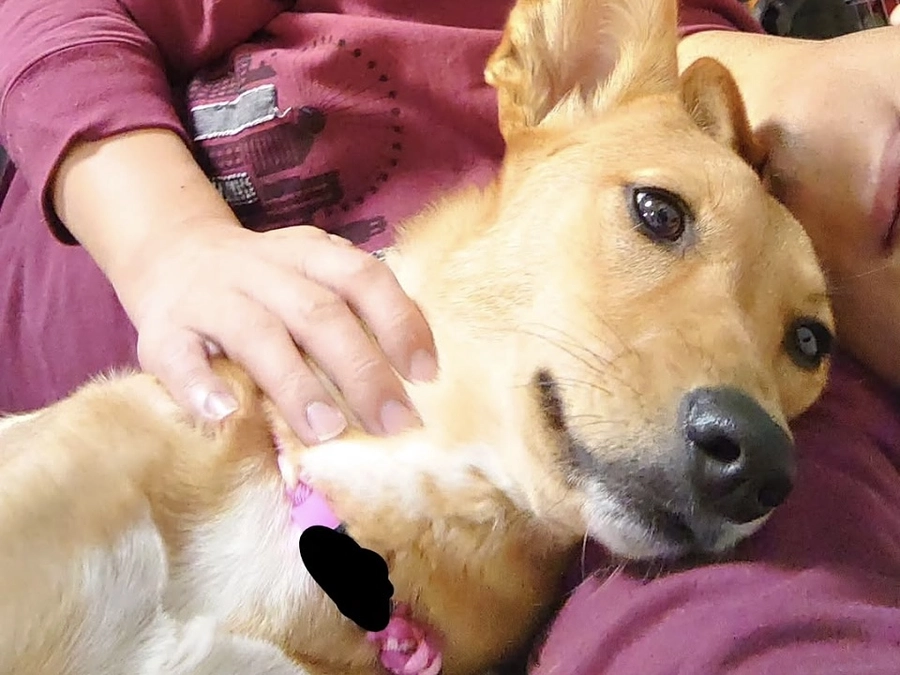 子ども縁日をやりながら思うこと