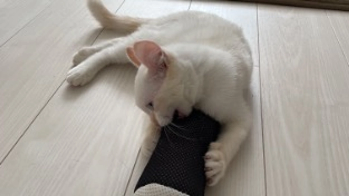 投薬残り30日を切りました✌🏻