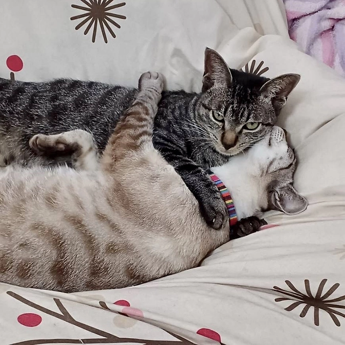 ボランティア リレー⑭