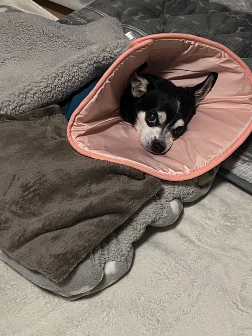 退院しました✨