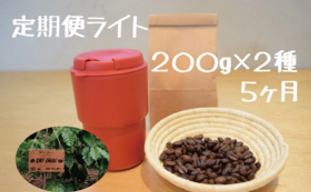 【 定期便ライト】コーヒー農園の木１本の年間オーナー権付きコース