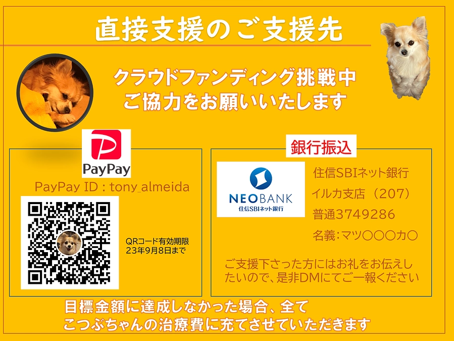 【PayPay】【銀行振込】代理支援のご案内