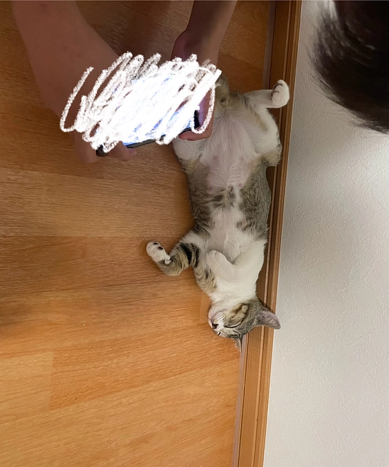 【感謝】ご支援ありがとうございます！