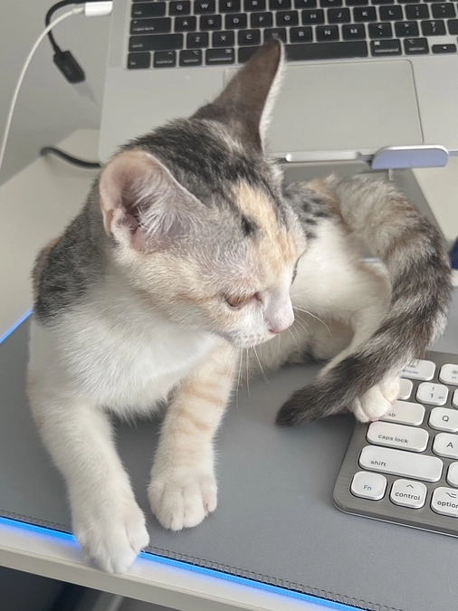 残り21日となりました