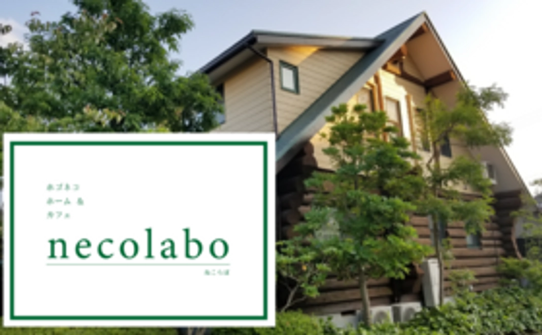 サンクスメール