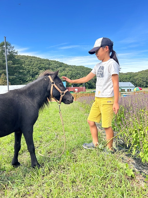 9月15日のイベントについて