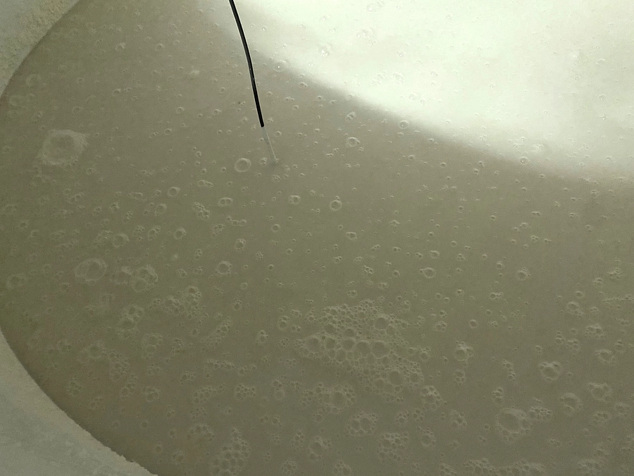 SAKE RE100日本酒、着々と醸造中です！