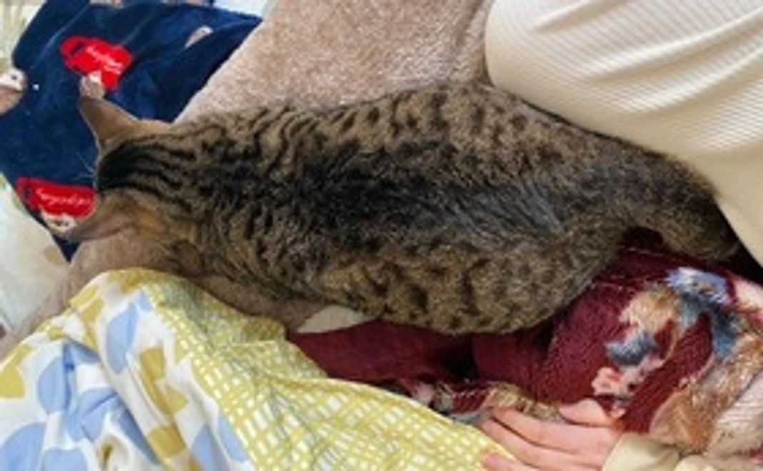 マロン全力応援！