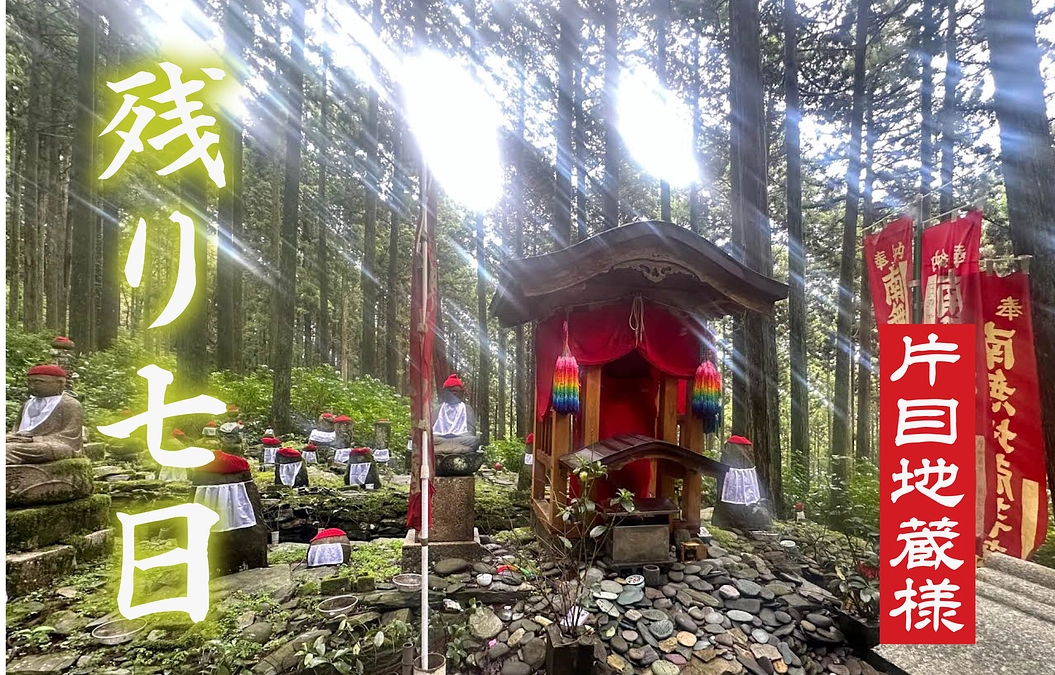 あと7日。変わらずのご支援ありがとうございます。