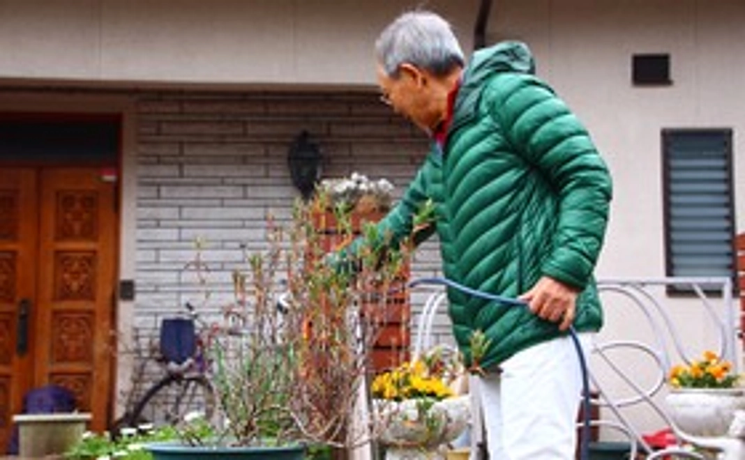 アニメーションのタイトルにお名前掲載
