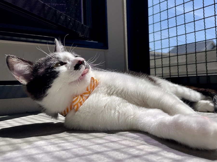 県西支部 西元さんの…とある1日