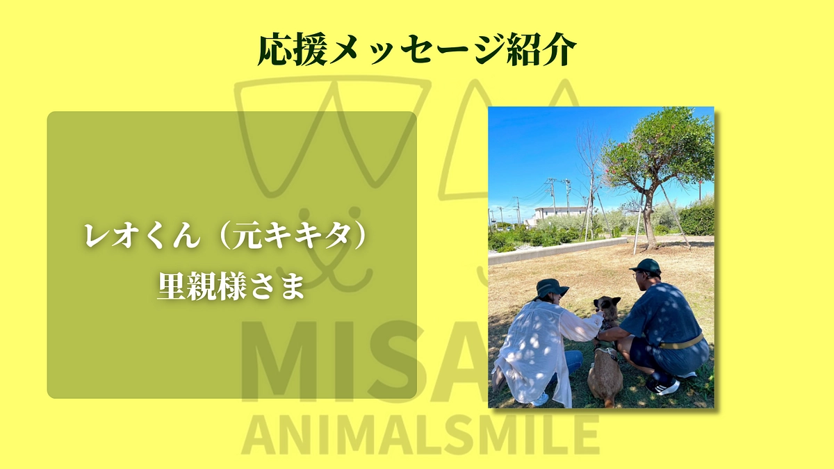 レオくん（元キキタ）里親より応援のメッセージをいただきました！