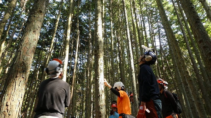 失敗しない伐倒を！ 基礎から最新メソッドまでのテキストづくり