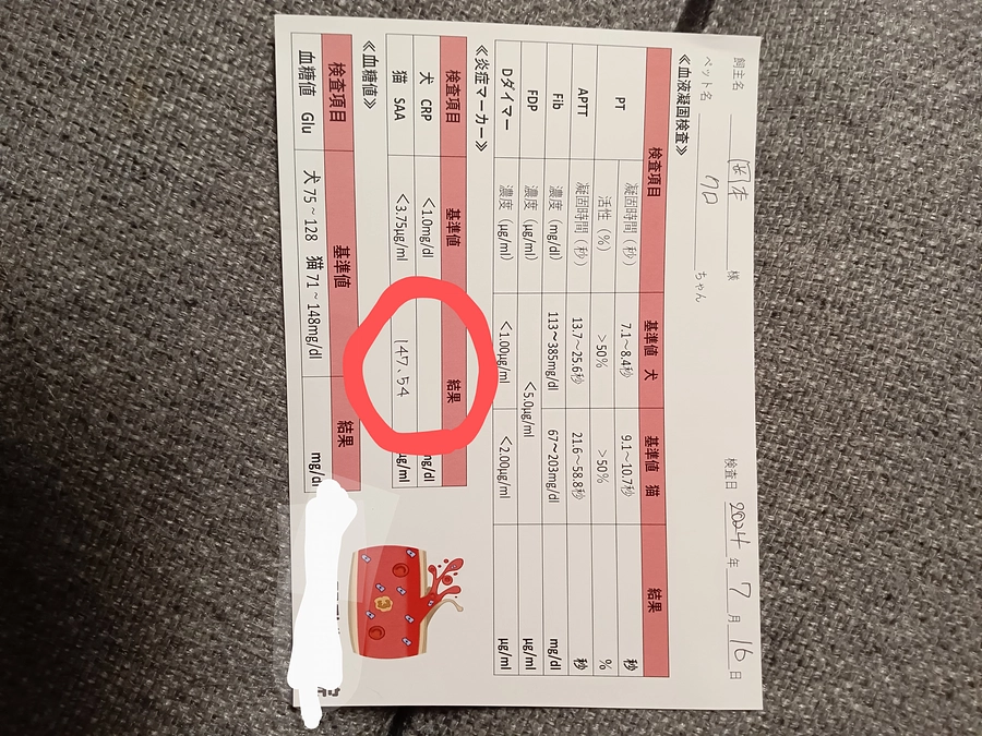 緊急入院しました。病理検査の結果もあまりよくありませんでした