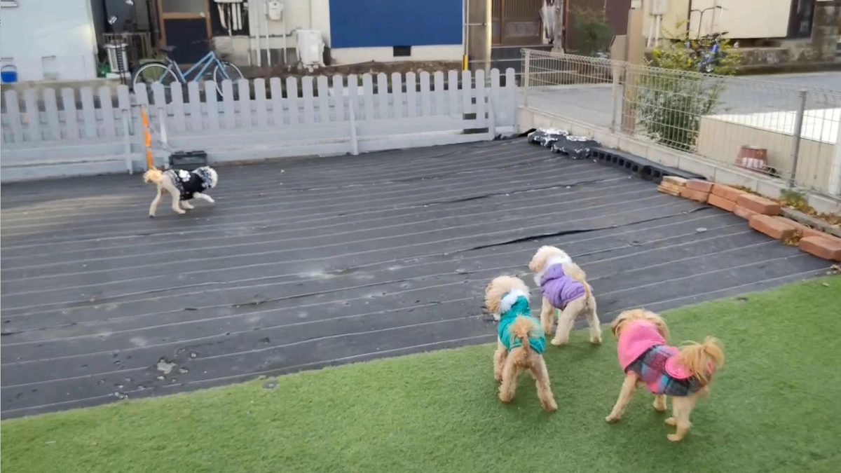 この時のように元気になってほしい