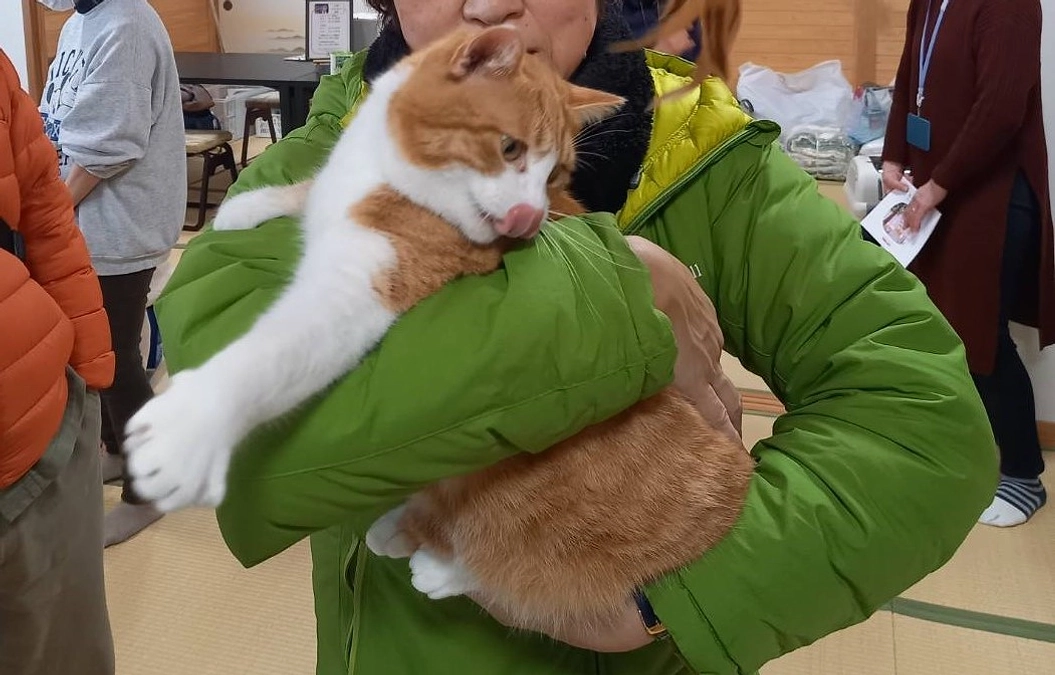 ぴーまんのご縁