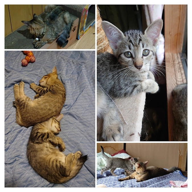 ゆめ。に出逢う事が無かったら・・・