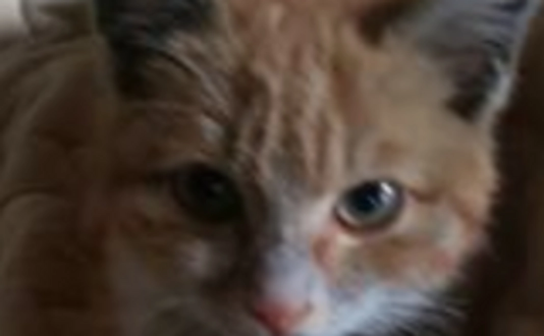 【ノアハウスの継続を全力応援！】