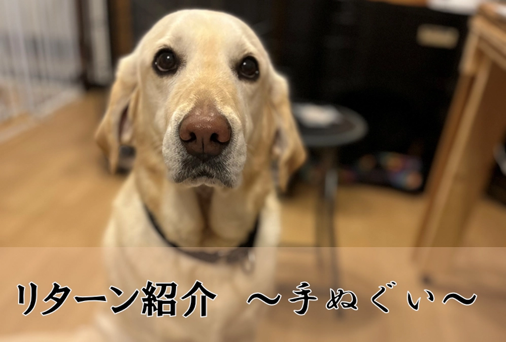 リターンの紹介します！【手ぬぐい】