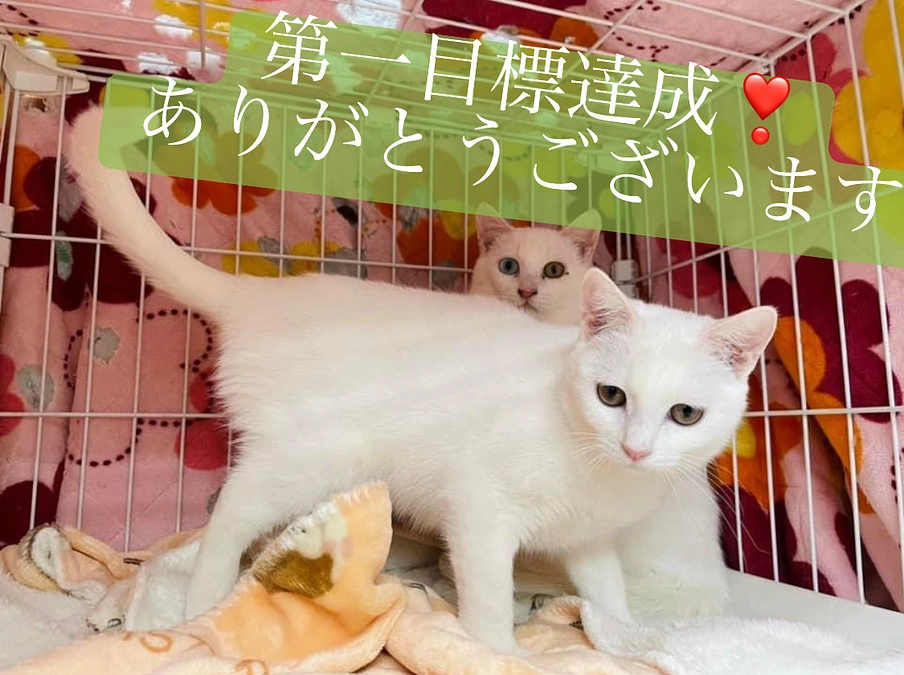 本日達成！次はセカンドゴール！