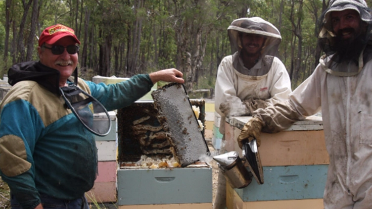 西豪州のジャラの森を守り、奇跡のハチミツを届け続けたい。