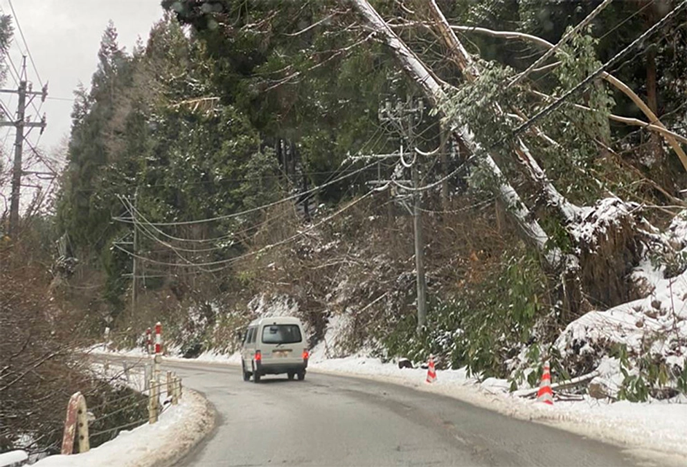 【近況報告】2月6日 道