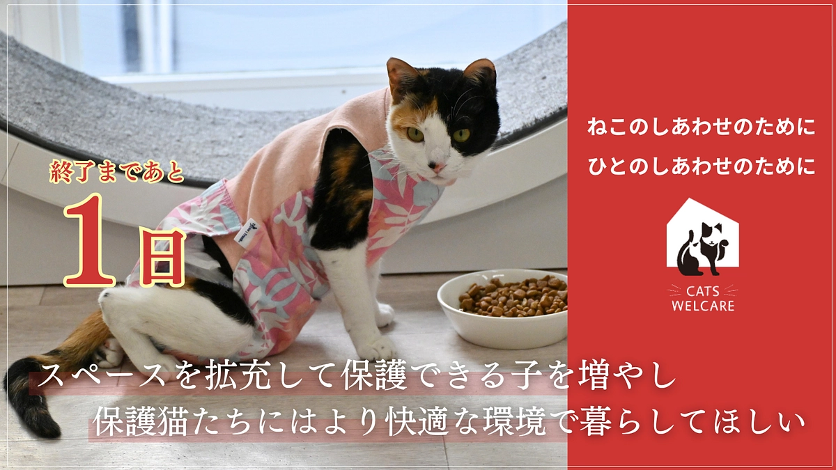 【残り1日】 ラストスパートハッシュタグ企画スタート